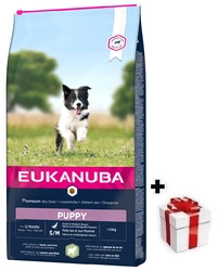 Eukanuba Cucciolo&Giovane Piccolo/Medio Agnello&Riso 12kg  + sorpresa per il cane GRATIS