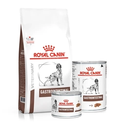 ROYAL CANIN Gastrointestinal Cane 15kg