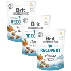 BRIT CARE DOG FUNCTIONAL SNACK RECOVERY HERRING 3x150g