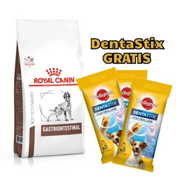 ROYAL CANIN Gastrointestinal Cane 15kg