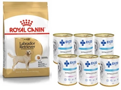 ROYAL CANIN Labrador Retriever Adulto 12kg & ENZO VET Dieta ipoallergenica ipoallergenica con coniglio per cani 6x400g