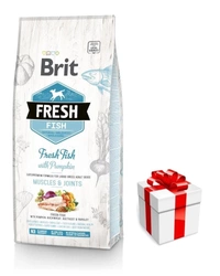 Brit Fresh Fish & Pumpkin Adult Large Muscles & Joints 12kg+ una sorpresa per il vostro cane GRATIS!