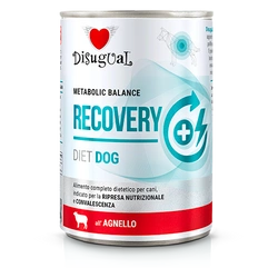 Disugual Cibo umido per cani Veterinario RECOVERY Agnello (adulto) 400 g