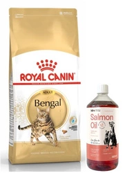 ROYAL CANIN Bengala Adulto 10kg + LAB V Olio di Salmone per cani e gatti 1000ml