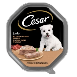 CESAR Junior vaschetta da 150 g – alimento umido completo per cuccioli, con tacchino e vitello, in paté