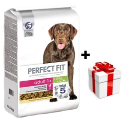 Perfect Fit™ - alimento completo secco per cani adulti di taglia media e grande, ricco di pollo 11,5 kg + sorpresa per il cane GRATIS