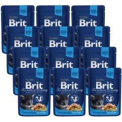 Brit Premium Kitten con pollo in salsa 100g
