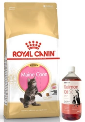 ROYAL CANIN Maine Coon Kitten 10kg + LAB V Olio di Salmone per cani e gatti 1000ml