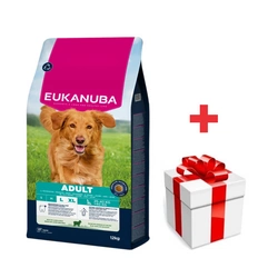 EUKANUBA Adult Large Breed Agnello e Riso 12 kg + sorpresa per il cane
