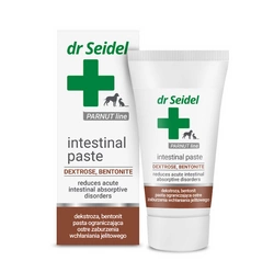 Dr Seidel Intestinal Paste-pasta per ridurre il malassorbimento intestinale acuto 40g