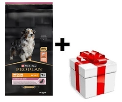 PRO PLAN Sensitive Skin Cibo per cani adulti di media e grande taglia ricco di salmone 14 kg + sorpresa per il cane GRATIS