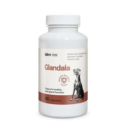 Lab-v Glandala - Supporto al corretto funzionamento delle ghiandole perianali e dell'apparato digerente per cani 90 capsule