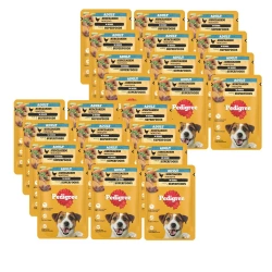 Pedigree Wet Food per cani adulti con pollo e verdure in salsa 24x100g