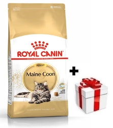 ROYAL CANIN Maine Coon Adulto 10kg + sorpresa per il gatto