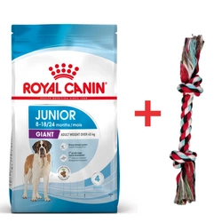 ROYAL CANIN Giant Junior 15kg + giocattolo per cani!