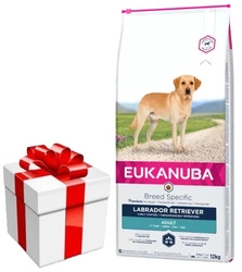 Eukanuba Labrador Retriever adulto 12kg + Sorpresa GRATUITA per il cane!