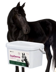 Lab-v EquiDerma - Mangime complementare per cavalli e pony che favorisce la salute della pelle, del pelo e degli zoccoli 2 kg