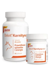 Dolvit Carnitina 90 compresse