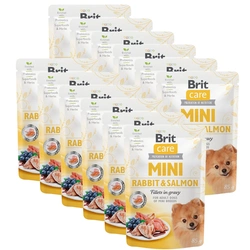 Brit Care Mini Filetti in salsa di coniglio e salmone 12x85g