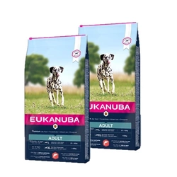 Eukanuba Adulti Grande salmone e orzo 2x12kg