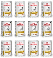 ROYAL CANIN Urinary S/O 24x410g