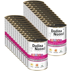 Dolina Noteci Premium Junior ricco di cuori di tacchino 24x400g