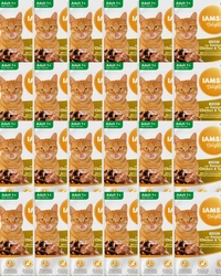 IAMS-Naturally cibo per gatti adulti, con pollo aromatico e tacchino in salsa 24x85g