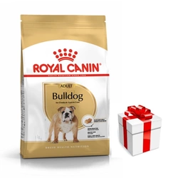 ROYAL CANIN Bulldog Adult 12kg + una sorpresa per il vostro cane GRATIS!