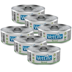 Farmina Vet Life Feline Renal 6x85g