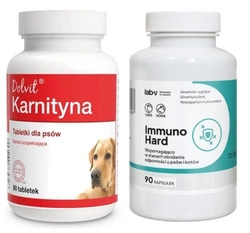 Dolfos Dolvit Karnitin 90 Compresse + LAB-V Immuno Hard – Rafforzamento dell'immunità per cani e gatti 90 capsule