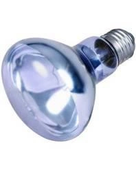 Trixie Neodymium Heat Bulb 100W