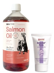 DOLFOS AmylaDol Paste 50g & LAB V Olio di Salmone per cani e gatti 1000ml
