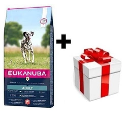 Eukanuba Adulti Grande salmone e orzo 12kg + sorpresa per il cane GRATIS