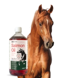 Lab-v Salmon Oil – Olio di salmone atlantico al 100% per cavalli 1000 ml