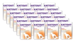 Kattovit Urinary salmone 24x85g bustina