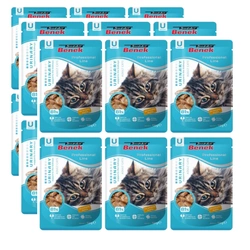 Super Benek Bustine urinarie per gatti 24x100g