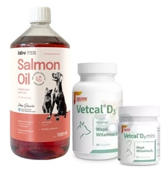 DOLFOS Vetcal D3 90tabl. + LAB V Olio di Salmone per cani e gatti 1000ml