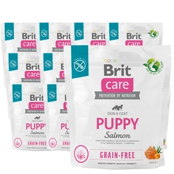 BRIT CARE Dog Grain-free Puppy Salmone 12x1kg