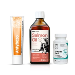 Set regalo per gatti: salute, immunità e una pelliccia meravigliosa