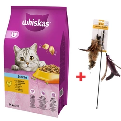 WHISKAS Cibo secco per gatti sterilizzati 1+ Sterile con pollo 14kg + Canna da pesca per gatti Dingo