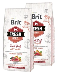 Brit Fresh Manzo e zucca Puppy Large Crescita e articolazioni 2x12 kg