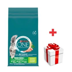 Purina One Indoor Formula Tacchino e Grano Cibo per gatti adulti  9,75 kg + sorpresa per il gatto
