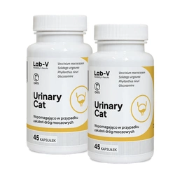 Lab-v Urinary Cat - Supporto urinario per gatti 2x45 capsule