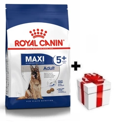 ROYAL CANIN Maxi Adulto 5+ 15kg + sorpresa per il cane GRATIS