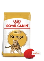 ROYAL CANIN Bengala Adulto 10kg + Palla per gatti Royal Canin GRATIS