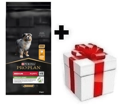 PRO PLAN Health Start Puppy alimento ricco di pollo 12kg + sorpresa per il cane GRATIS