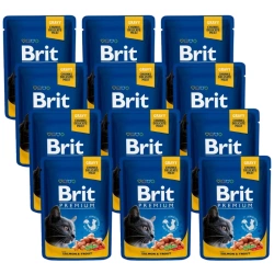Brit Premium Cat per gatti adulti con salmone e trota 12x100g