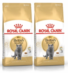 ROYAL CANIN British Shorthair Adulto 10kg x2