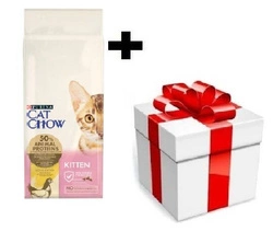 PURINA Cat Chow, cibo per gattini ricco di pollo 15 kg + sorpresa per il gatto GRATIS