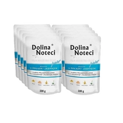 Dolina Noteci Premium per piccole razze Junior ricco di ventresca di agnello 10x100g